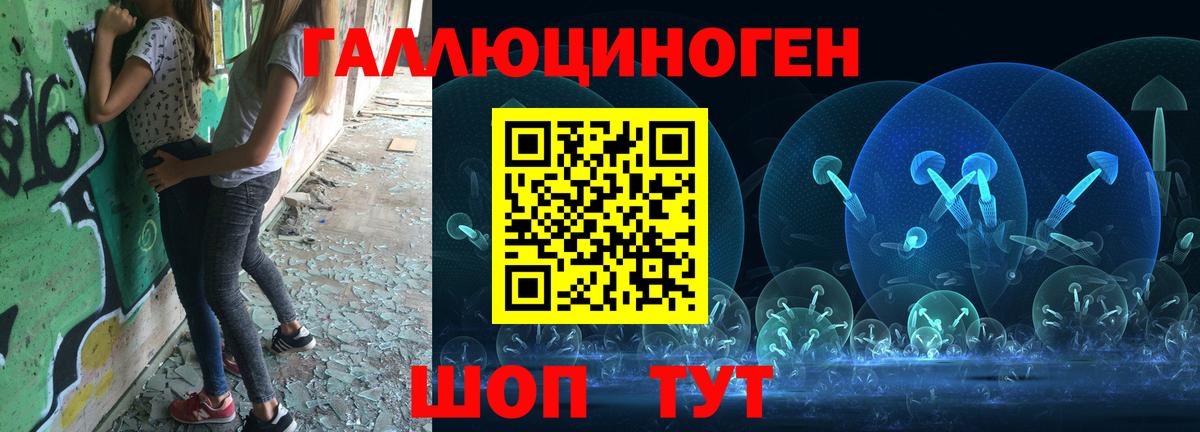 Псилоцибиновые грибы Psilocybine cubensis  Псилоцибиновые грибы прущие грибы  Шадринск  Вход с VPN 